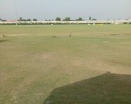 Simran_1419