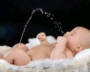ViRaJ2000