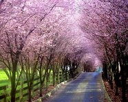 mohammadreza.baybordi