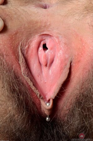 Tattooed female with glasses takes her shorts down airing pierced woolly peach