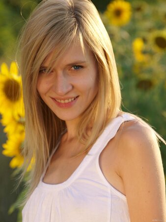 Attractive beauty not shy to undress while relaxing in the field of sunflowers