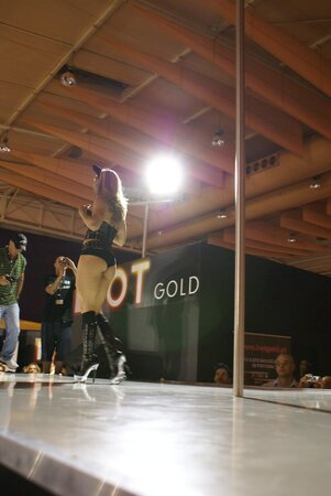 Seductive stripper slowly discards leather outfit while dancing by the pole