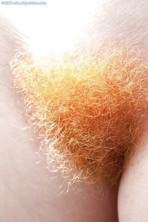 Shameless naked female hottie with a very hairy ginger pussy