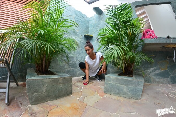 Alluring babe with a firm ass is going to expose her slit