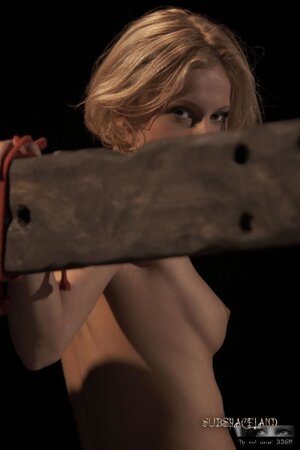 Pervert fulfills BDSM fantasies of delectable chick Paris Pink from Germany